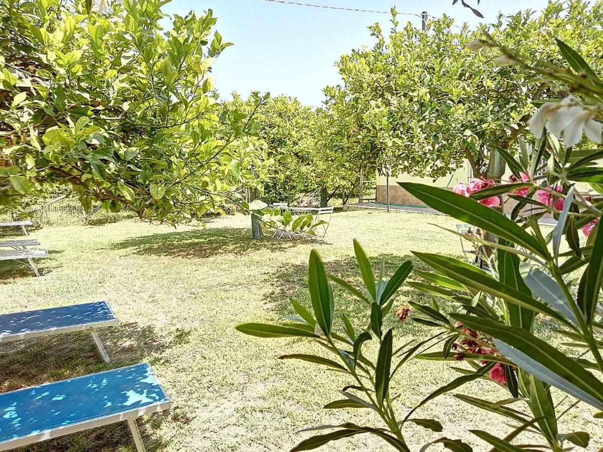 Villa Primofiore Di Vendicari La Banca Εξωτερικό φωτογραφία