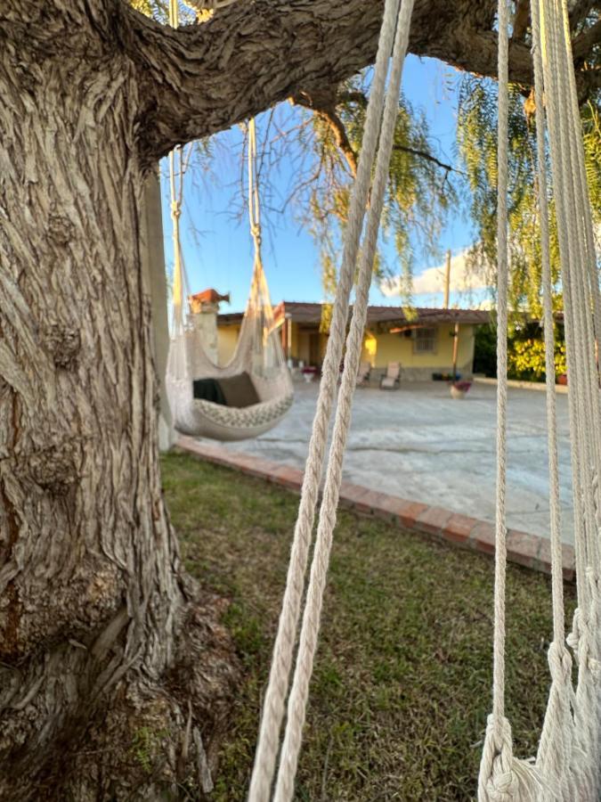 Villa Primofiore Di Vendicari La Banca Εξωτερικό φωτογραφία
